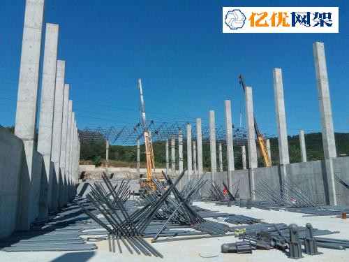 达州料棚网架设计